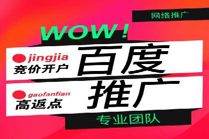 行业领先企业的SEM运营推广实战